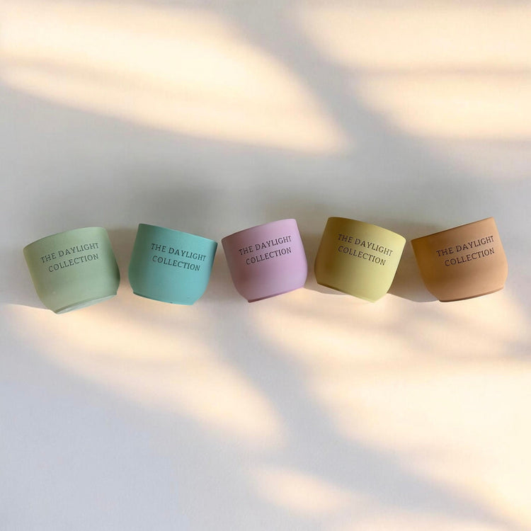 Sun-Kissed Collection